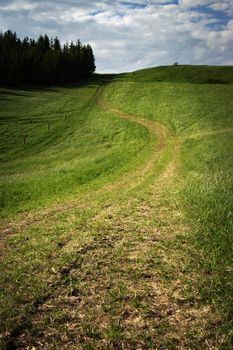 nature seasonal background the path through the green meadow