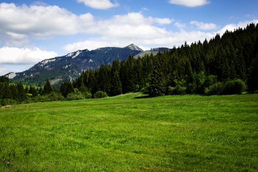 nature background summer mountain landscape with limestone peak