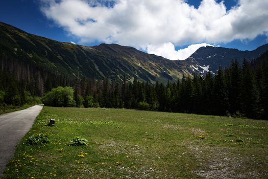 nature background spring mountain scenery with a peak