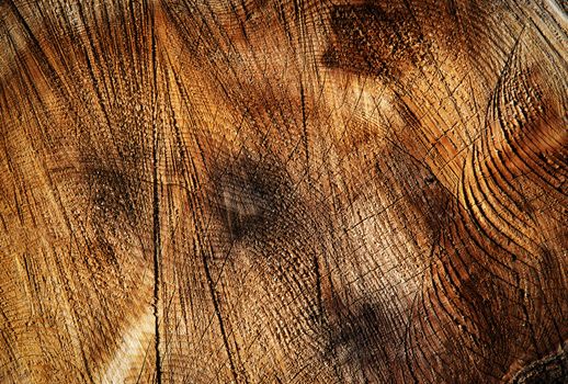 abstract background or texture groove on the cut of the wood