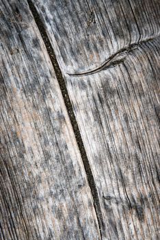 abstract background detail of the old wood plate with the fissure