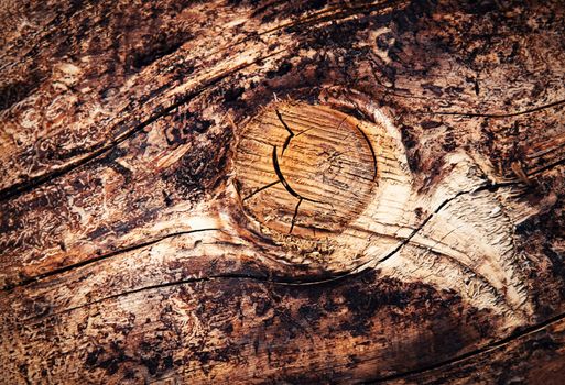 abstract background detail sawing wooden branch