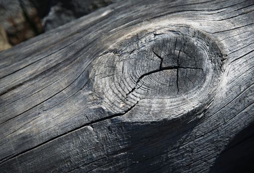 abstract background or texture detail gray weathered wood with knot