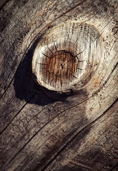 abstract background or texture detail on the bump of old wood