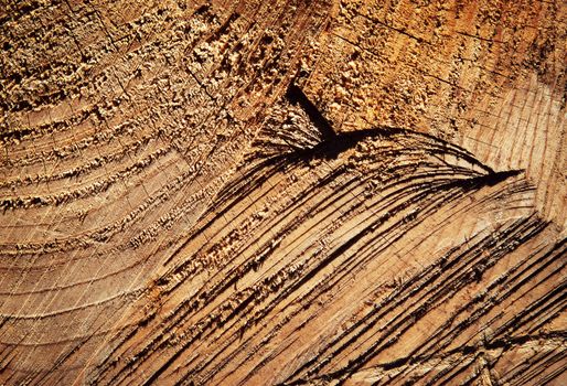 nature background or texture scratches on wood felling