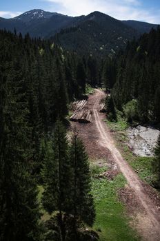 landscape nature background view from above on the forest road