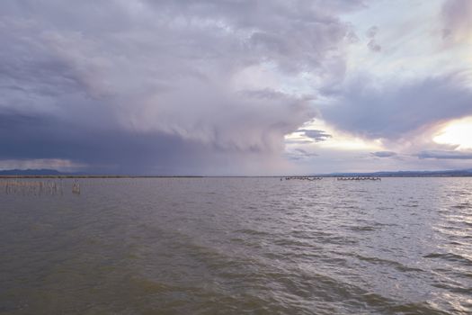 Landscape of a lake with storm clouds, moving waters reeds in the water, bluish tones