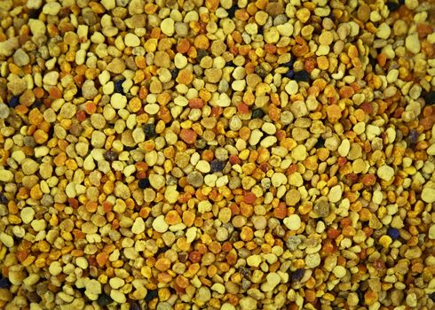 background or texture detail on multicolored bee pollen beads