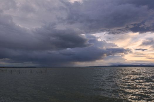 Landscape of a lake with storm clouds, moving waters reeds in the water, bluish tones