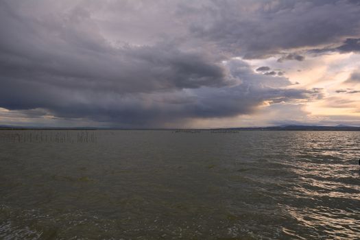 Landscape of a lake with storm clouds, moving waters reeds in the water, bluish tones