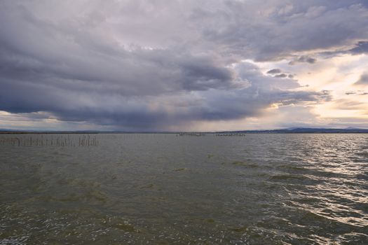 Landscape of a lake with storm clouds, moving waters reeds in the water, bluish tones