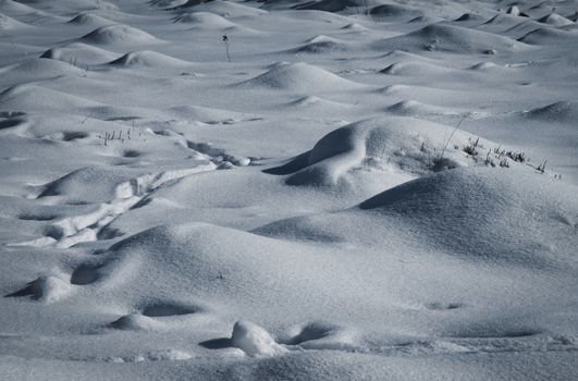 nature seasonal backgroundsnow covers anthill