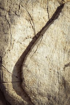 abstract background or texture limestone rock with oblique and shadow