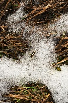 seasonal nature background melted snow on dry grass