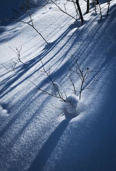 abstract winter nature background long shadows on snow
