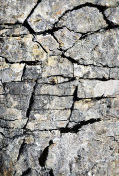abstract background or texture limestone fissures cracks
