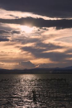 Landscape of a lake with storm clouds, moving waters reeds in the water, bluish tones