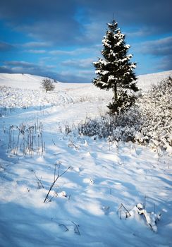 seasonal nature background Idyllic snowy winter landscape