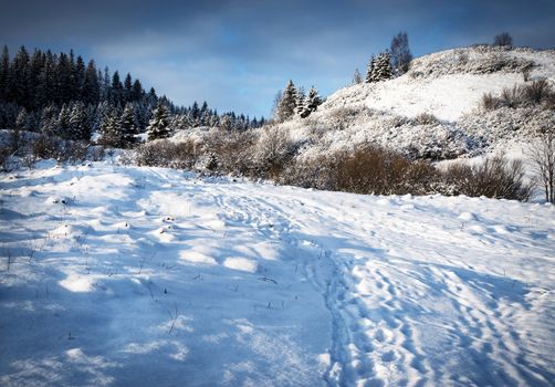 nature seasonal background snowy landscape with hills