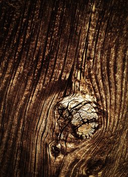 abstract background or texture wooden caries on wood