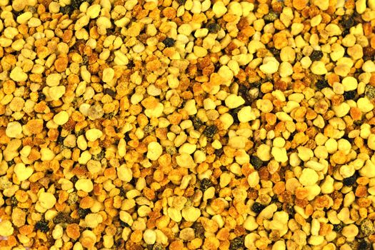 nature food background plant pollen grains