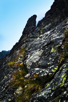 nature landscape detail of mountain rock