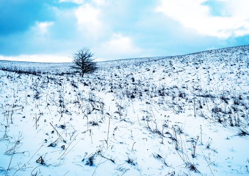 abstract background cold blue winter landscape