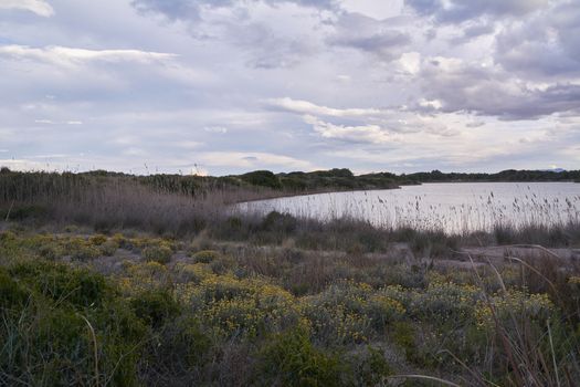 Still water lake after the storm, dramatic clouds, blue, reflections, vegetation, yellow