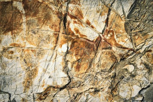 abstract background or texture old prehistoric limestone with veins of quartz