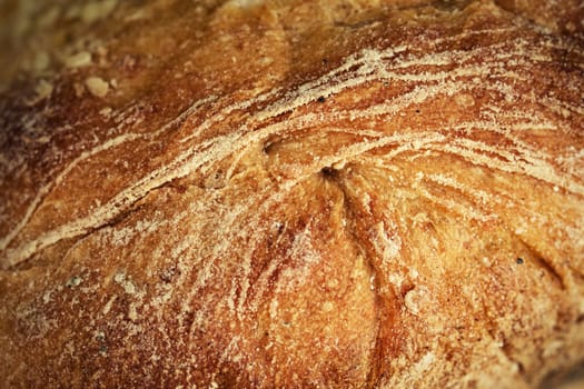 abstract background line of flour on a bread crust