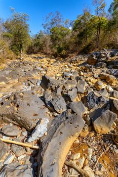 wild river bed during the dry season, Ankarana reserve, Madagascar wilderness landscape, Africa