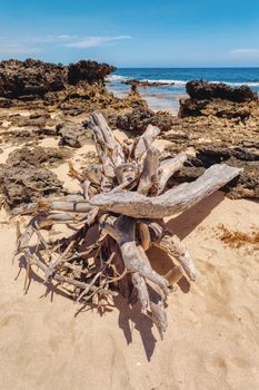 rocky beach in Antsiranana, low tide, Diego Suarez bay landscape, Madagascar beautiful pure nature with blue sky and water, Africa wilderness
