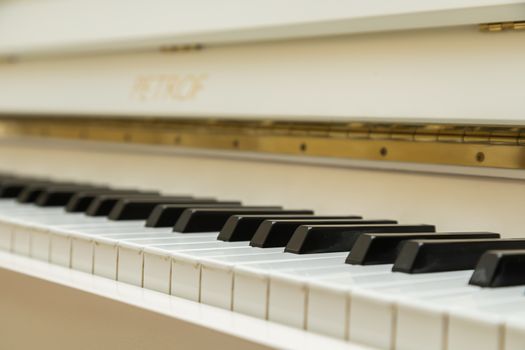 Piano keyboard fragment close-up. The background of the piano.