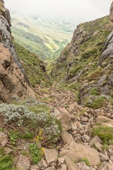 The Sentinel Gully, the alternative route to the top of the Amphitheatre in the Drakensberg