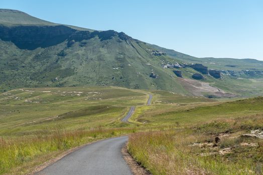 A view from the Blesbok Loop in Golden Gate. Black wildebeest are visible to the left