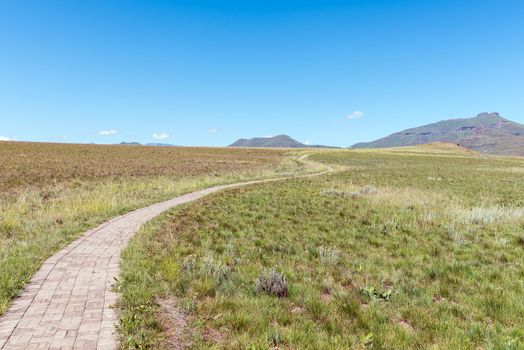 Footpath to the vulture hide at Golden Gate. People are visible