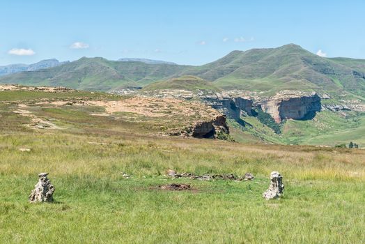 View from the vulture hide at Golden Gate. Several animal carcasses are visible