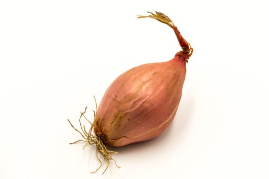 Vegetables: a shallot isolated on a white background