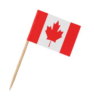 Small paper Canadian flag on wooden stick, isolated on white