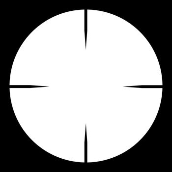 The cross hairs of a telescopic sight.