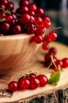 Fresh picked red currants in wooden bowl