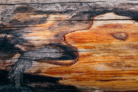 Aged and weathered wooden plank background from above