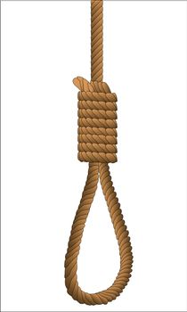 A hangman noose over a white background