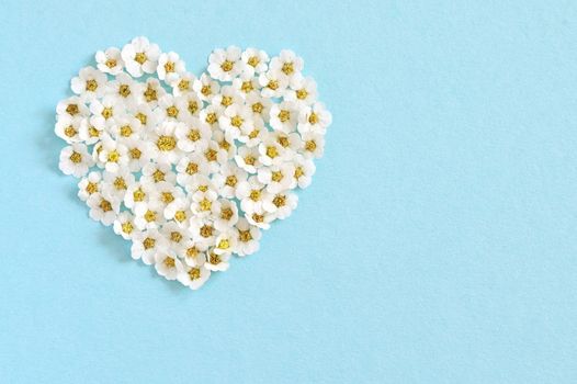 Concept of A White Spiraea Flowering in heart shape