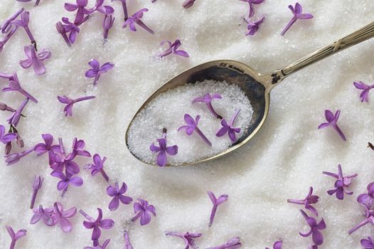 Lilac Sugar In Spoon And Plate On WoodenTable