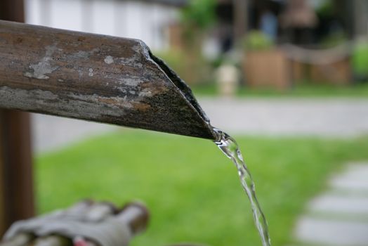 The close up of water flowing from bamboo pipeline in Japanese garden.