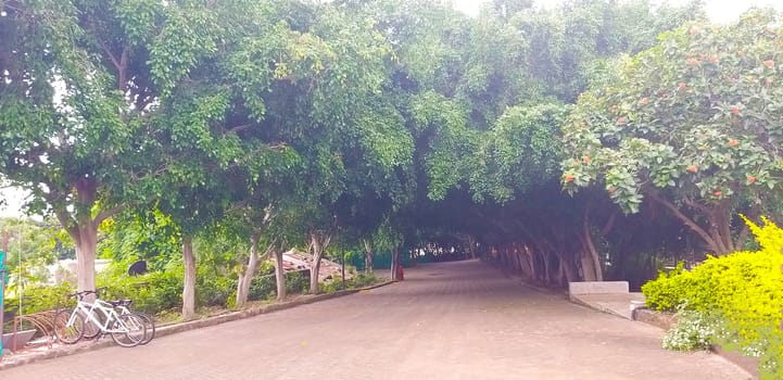 an isolated road after lockdown in india