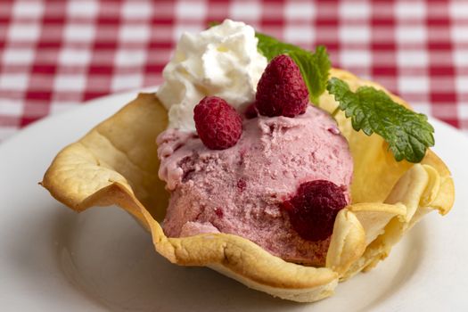 raspberry ice cream on a white plate