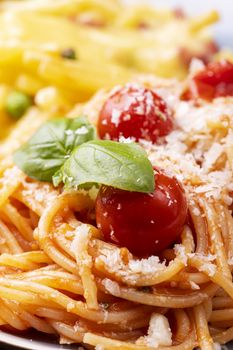 closeup of spaghetti with tomatoes and basil