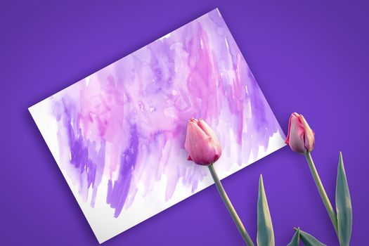 Beautiful pink tulips on a lilac background of a postcard. Spring time and mood.